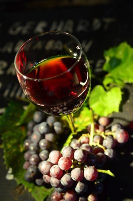 vin lot et garonne