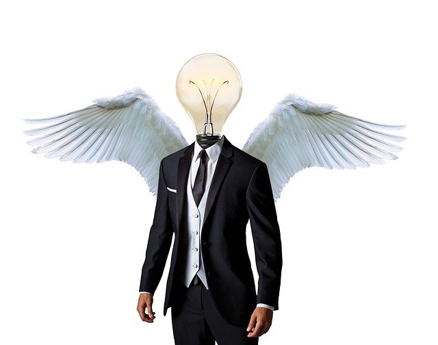 Business Angel 