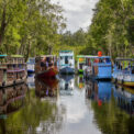 le parc national Tanjung Puting