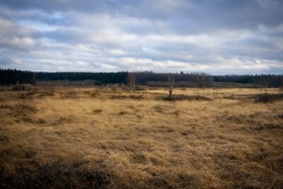 terrain vacant